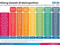 Ironi Mega Proyek Cetak Sawah 3 Juta Hektar Vs Hilangnya Lahan Pertanian di Metropolitan Jawa