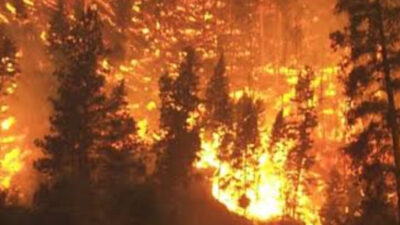 Netanyahu Tetapkan Keadaan Darurat Nasional Usai Kebakaran Hutan/(ilustrasi/@pixabay)