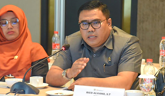 Anggota Panja Minerba Komisi XII DPR RI, Rico Alviano/dpr.go.id.