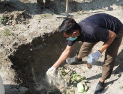 Bea Cukai Langsa Gagalkan Penyelundupan Unggas Ilegal Senilai Rp528 Juta