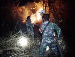 BNPB Laporkan Karhutla dan Banjir Awal Agustus 2025