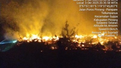 Laporan Bencana BNPB, Bencana Hidrometeorologi, Angin Kencang Bogor, Banjir Paser, Karhutla, BNPB terkini