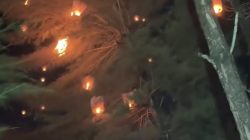 Viral Lampion Jatuh di Pantai Gua Cemara Bantul, Dinas Pariwisata Pastikan Tak Ada Korban