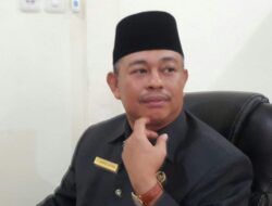 Rahmad Satria: DPR-RI dan Pemerintah agar Hormati Putusan MK Terkait Syarat Peserta Pilkada