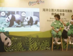 Pasca Dikarantina, Sepasang Panda Raksasa Siap Debut di Ocean Park Hongkong