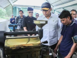 Indonesia Targetkan Menjadi Penghasil Sawit Terbesar dan Penentu Harga Global pada Tahun 2025
