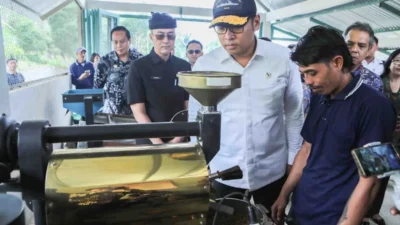 Indonesia Targetkan Menjadi Penghasil Sawit Terbesar dan Penentu Harga Global pada Tahun 2025