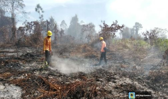 kebakaran hutan